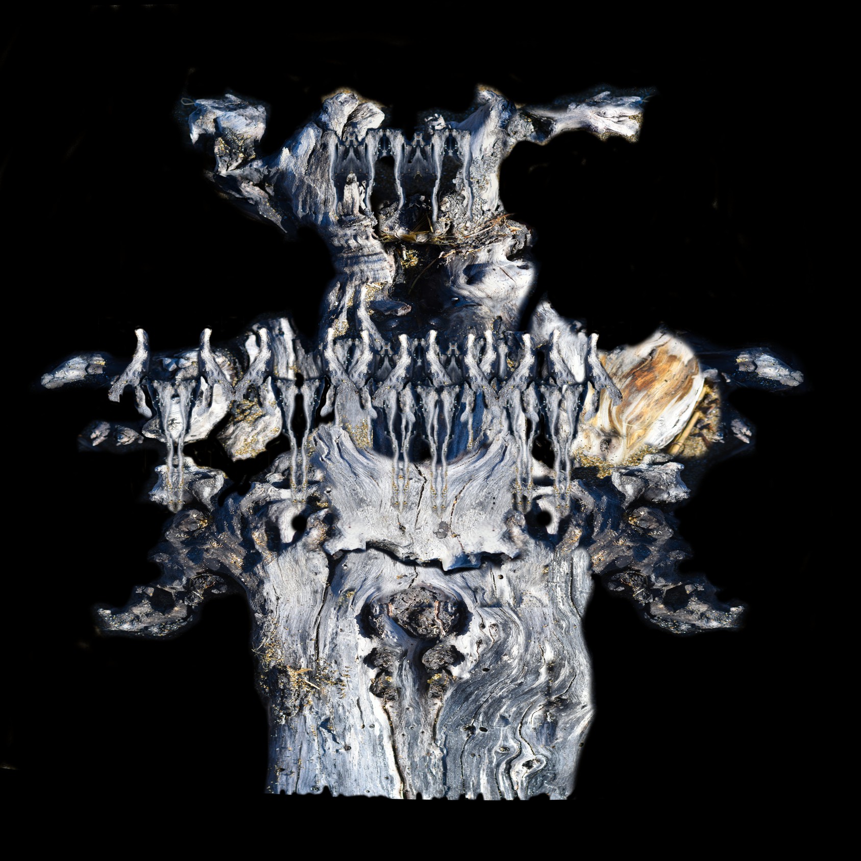 Titelbild Driftwood Faces